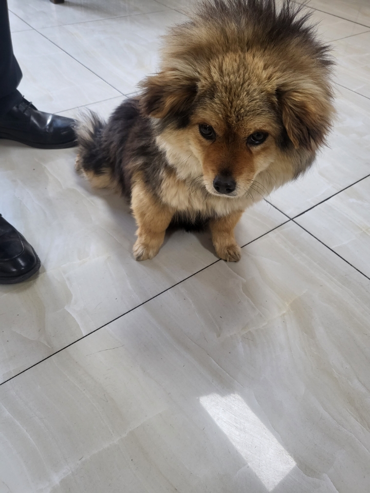 최종주동물병원_443444202300165